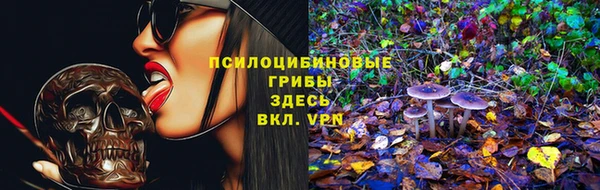 spice Абаза